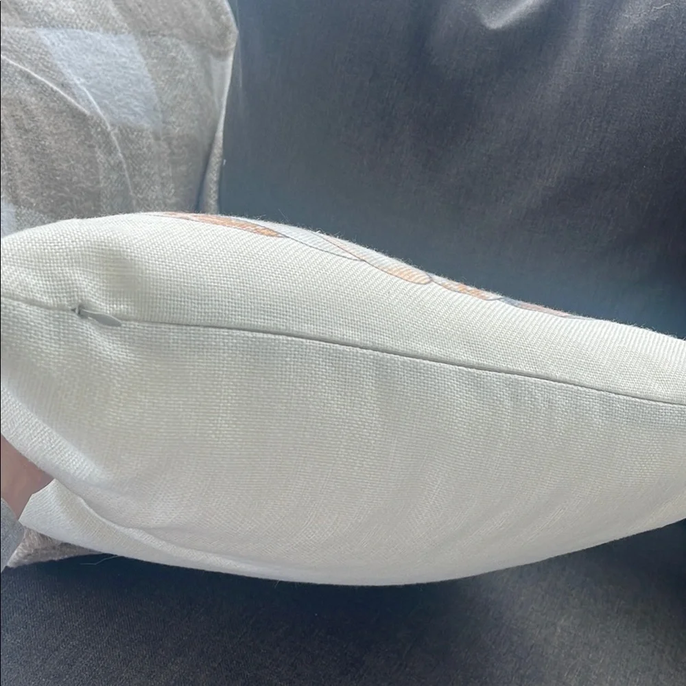 West Elm charming pillow
